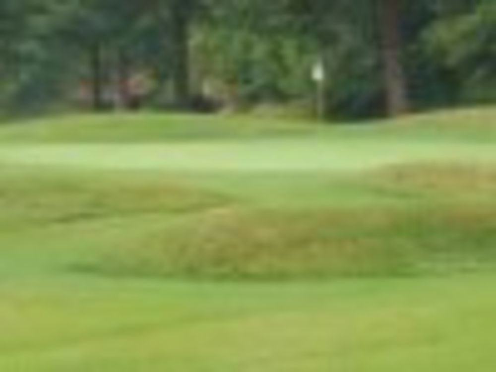Course photo for Sandy Creek Golf Course