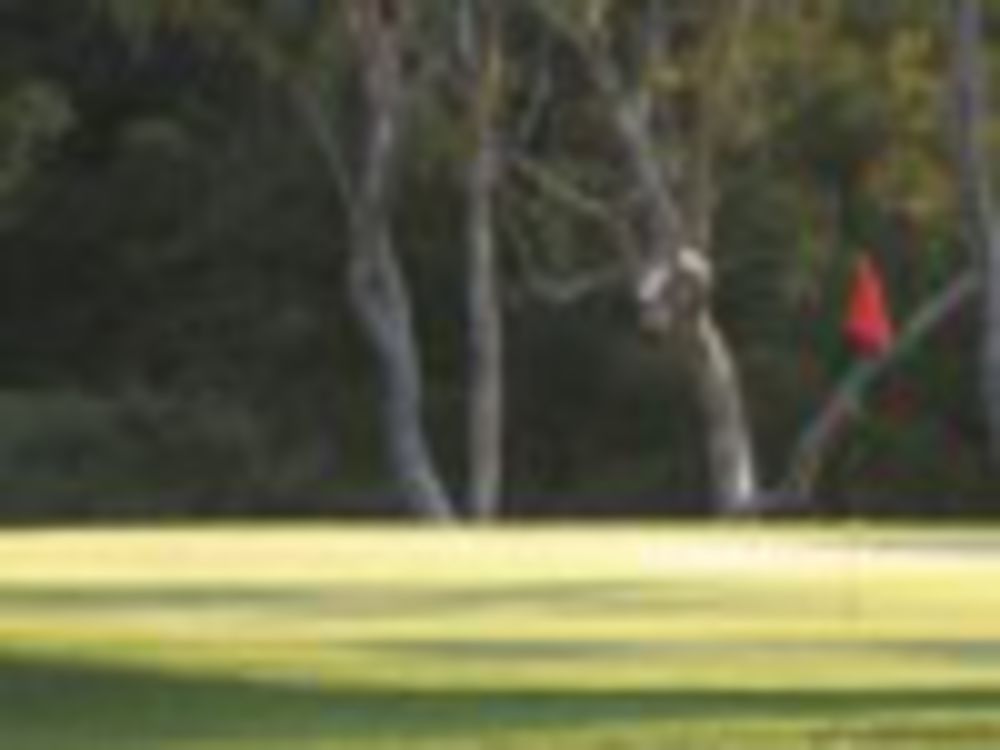 Course photo for West Side Golf Club
