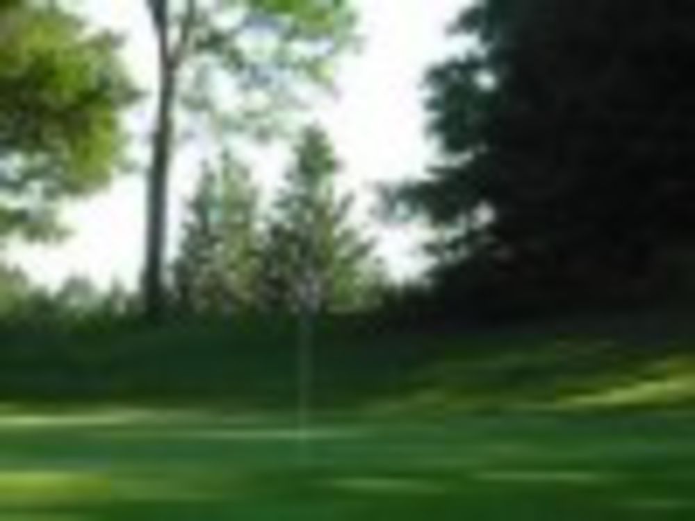 Course photo for D.W. Field