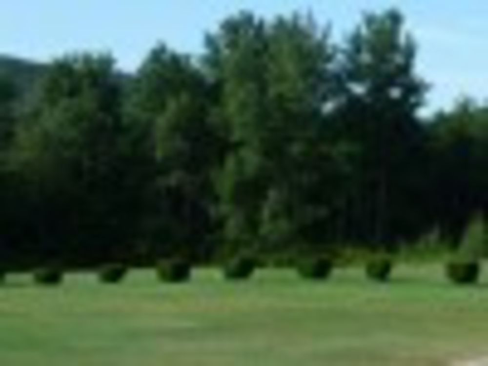 Course photo for Dunroamin Country Club
