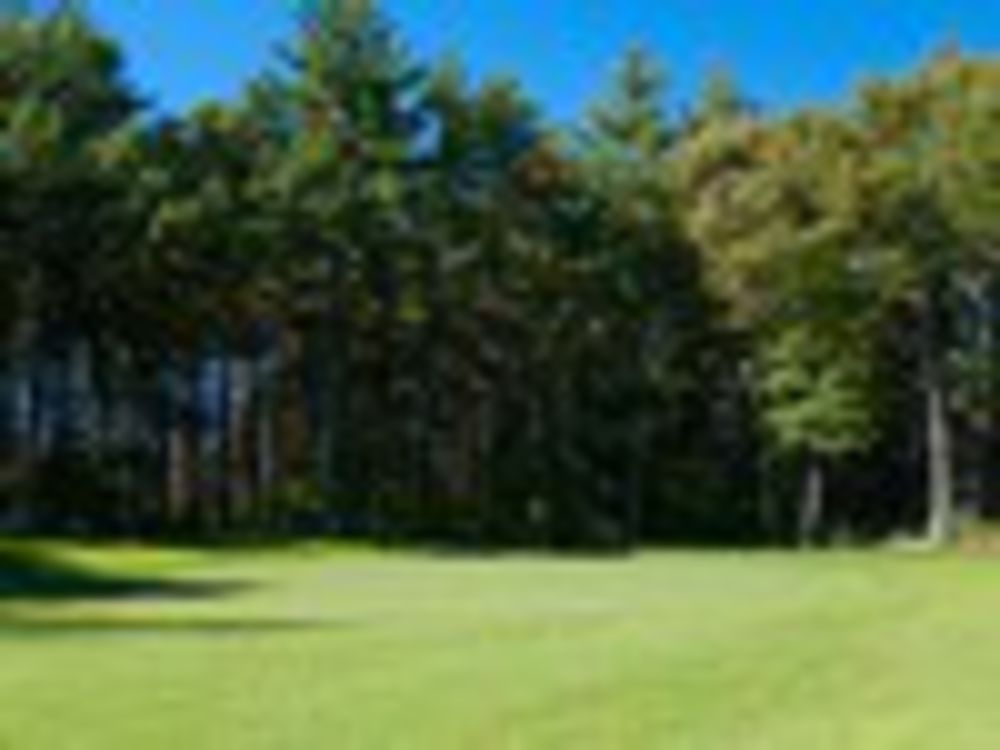 Course photo for Swanson Meadows Golf Course