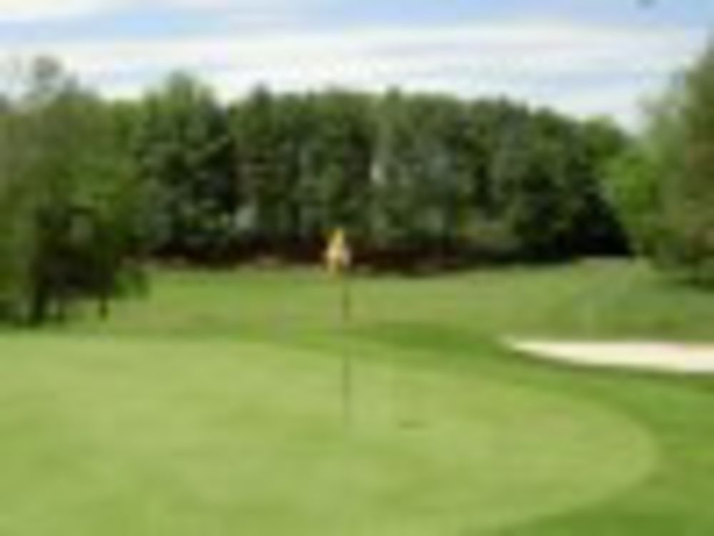 Course photo for Wahconah Golf Club