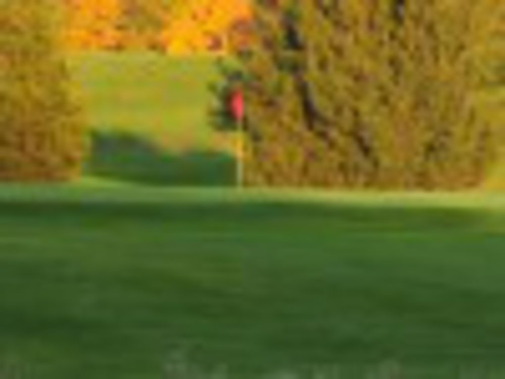 Course photo for DeMor Hills Golf Course