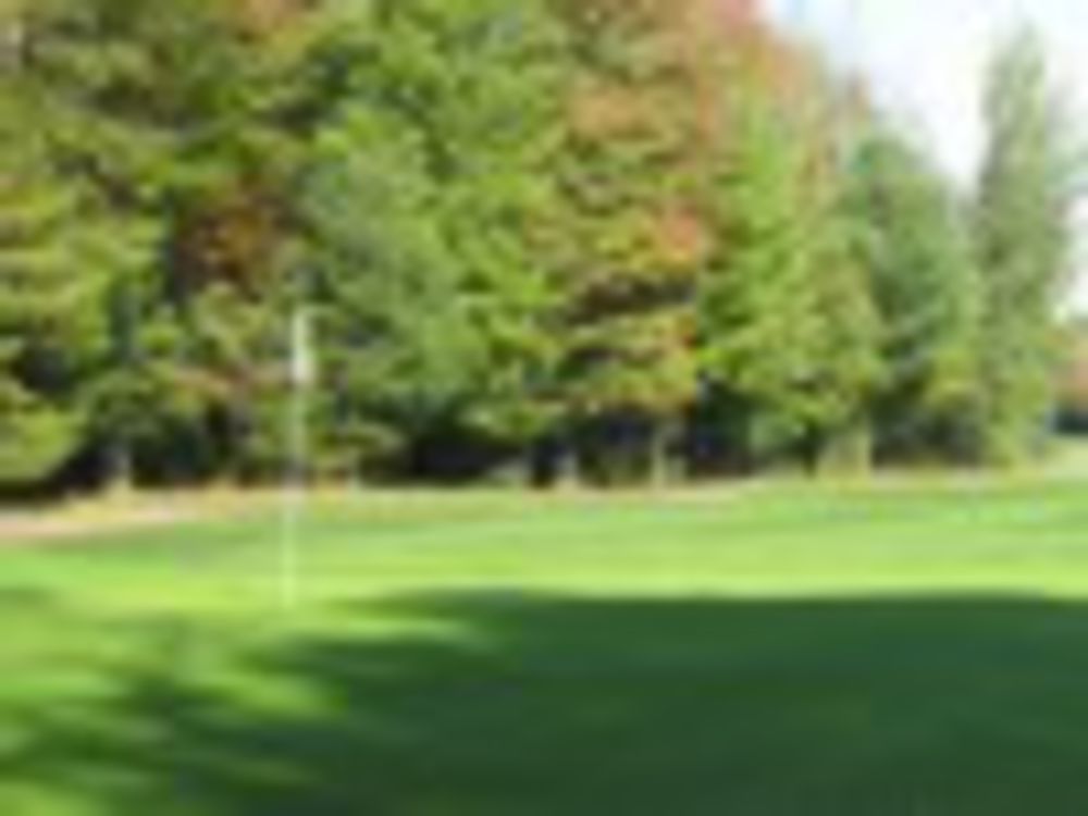 Course photo for Huron Shores Golf Club