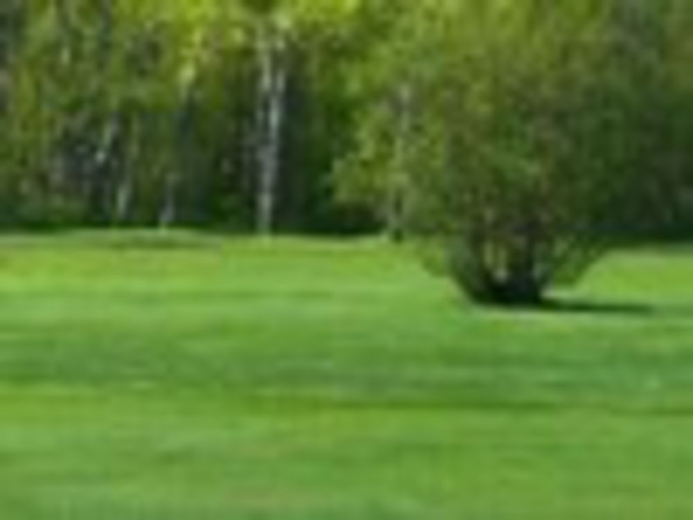 Course photo for Sault St. Marie Country Club