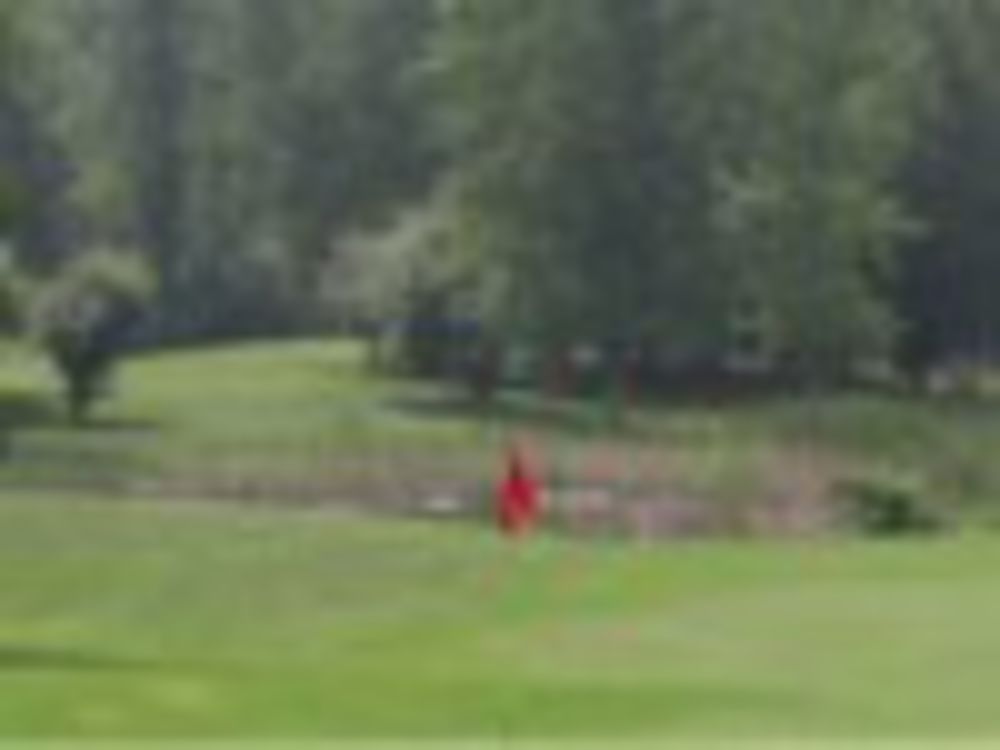 Course photo for Ubly Heights Golf & Country Club