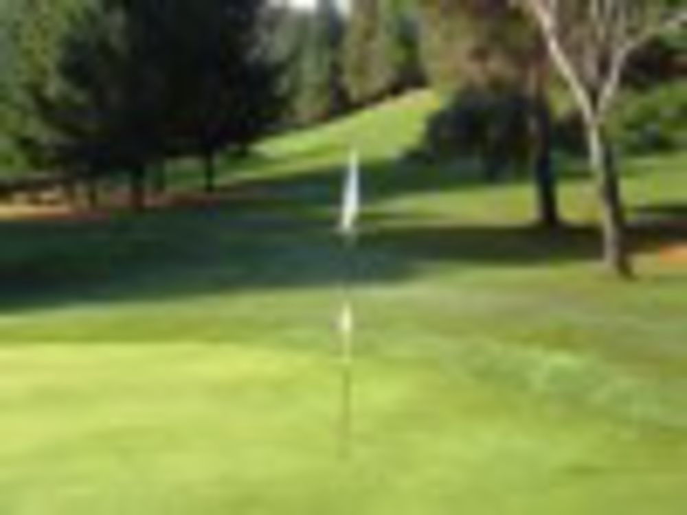 Course photo for Ferndale Golf Course