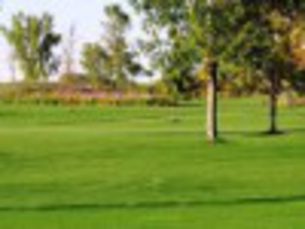 Course photo for Stoney Creek Golf Course