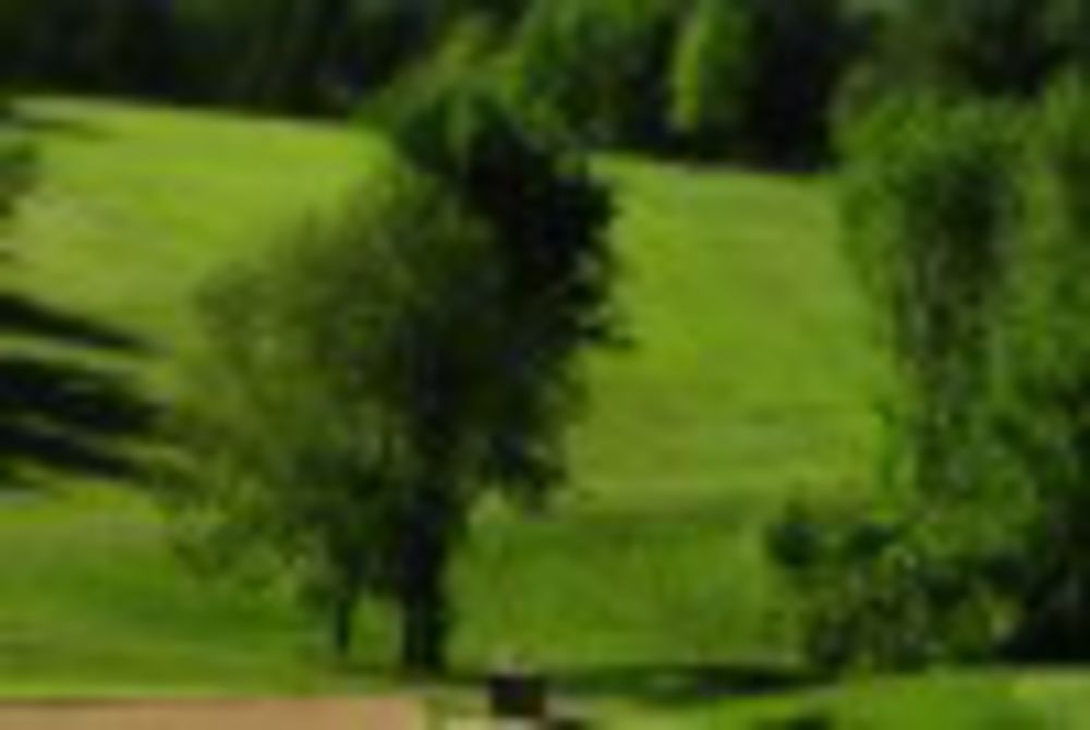 Course photo for Coffee Mill Golf Course