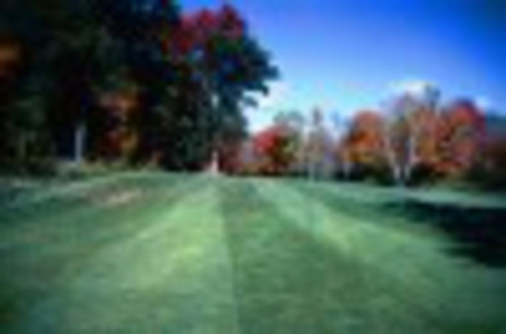 Course photo for Viking Meadows Golf Club