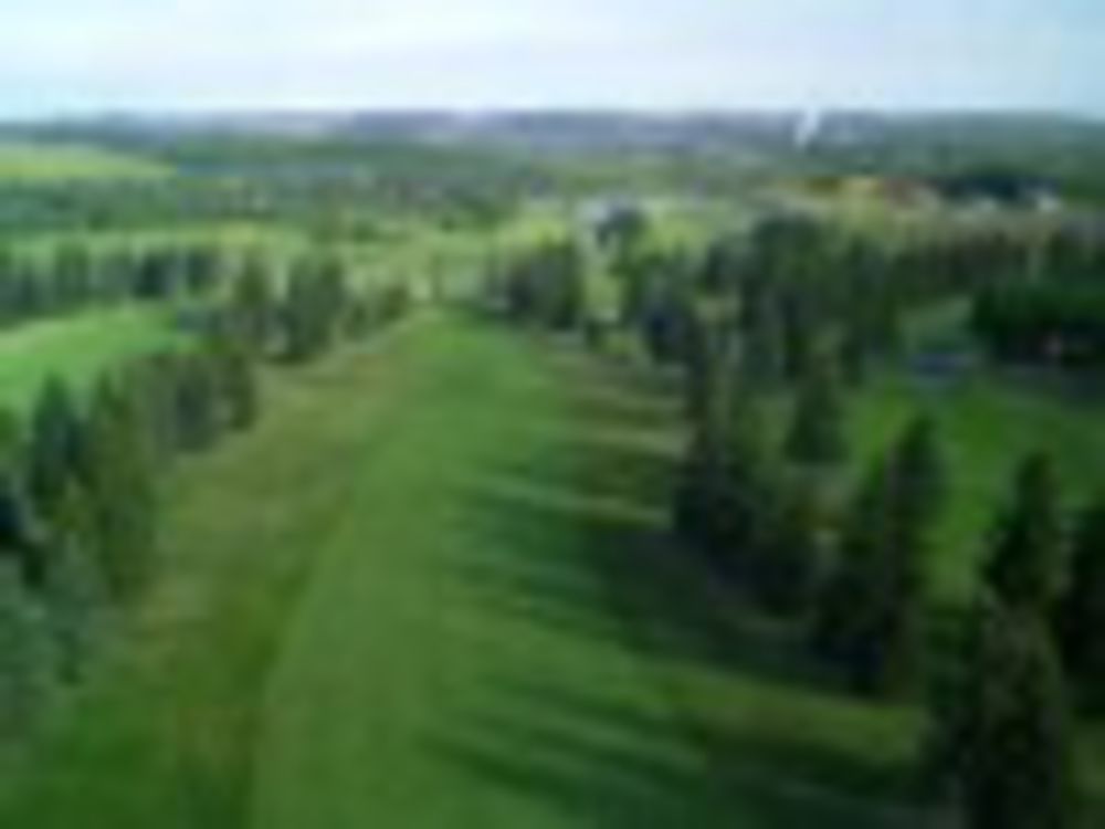 Course photo for Virginia Golf Course