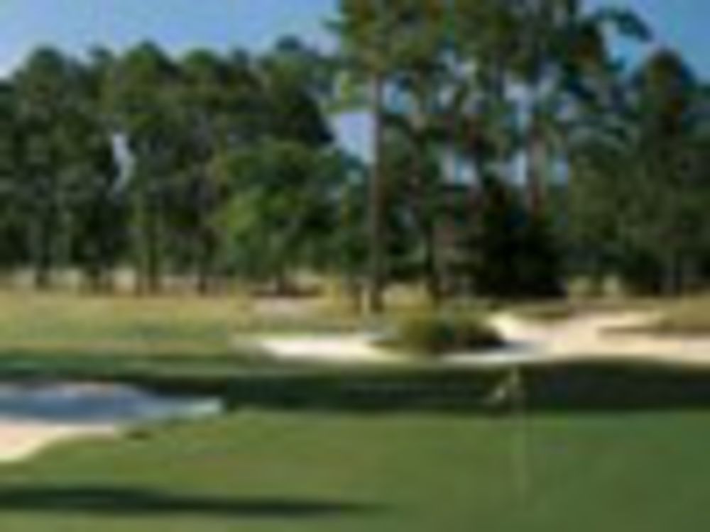 Course photo for The Bridges Golf Club