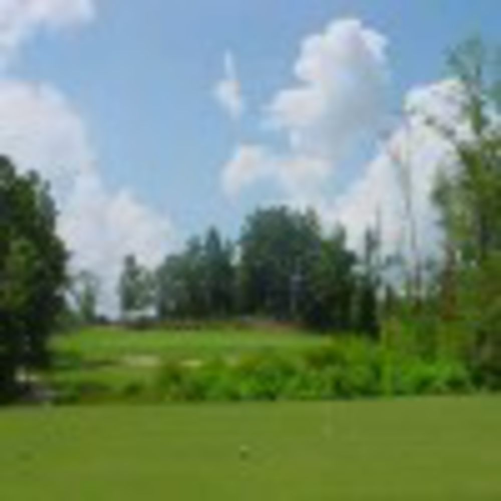 Course photo for Dixie Golf Club