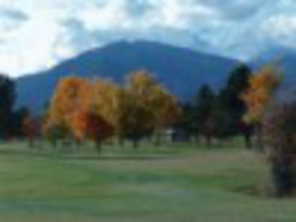 Course photo for Hamilton Golf Club