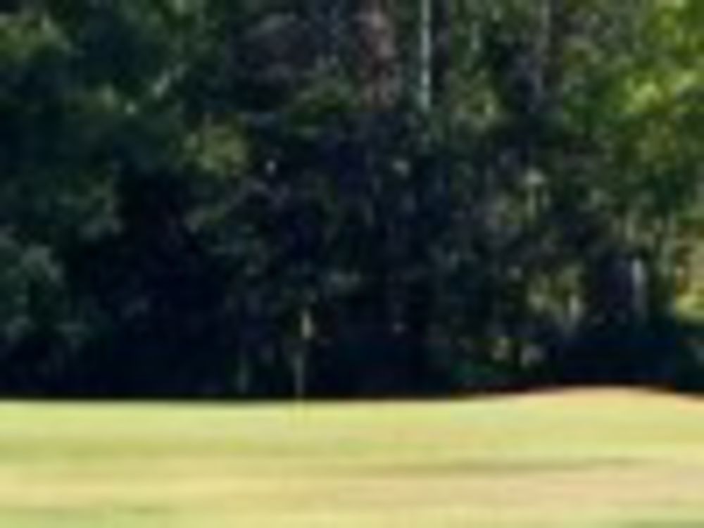Course photo for The Links at Mulberry Hill