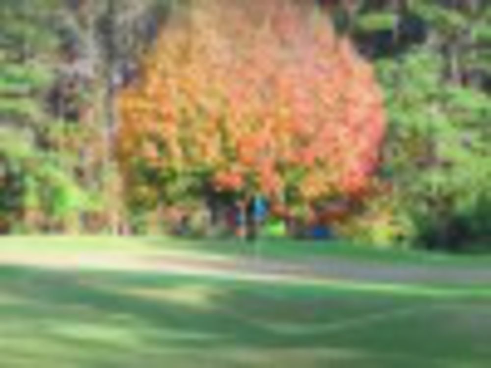 Course photo for Echo Farms Golf & Country Club