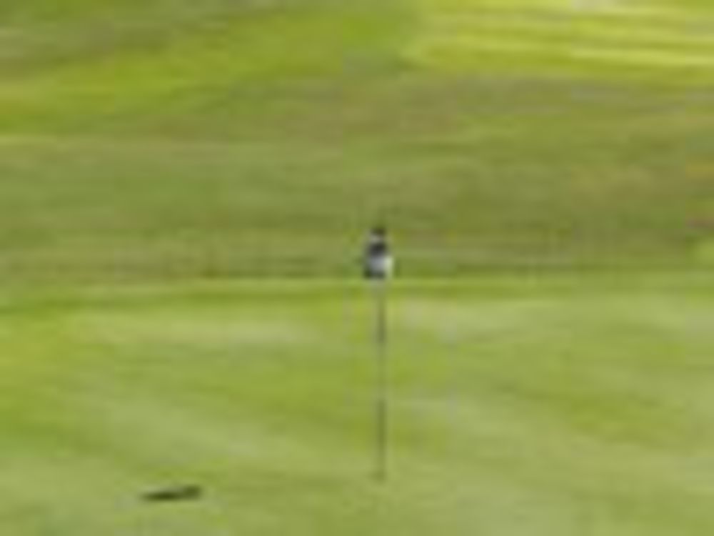 Course photo for Forest Oaks Country Club