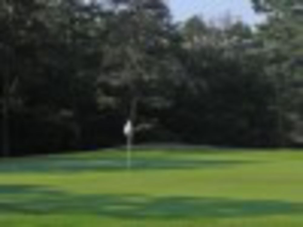 Course photo for Plantation Golf Club