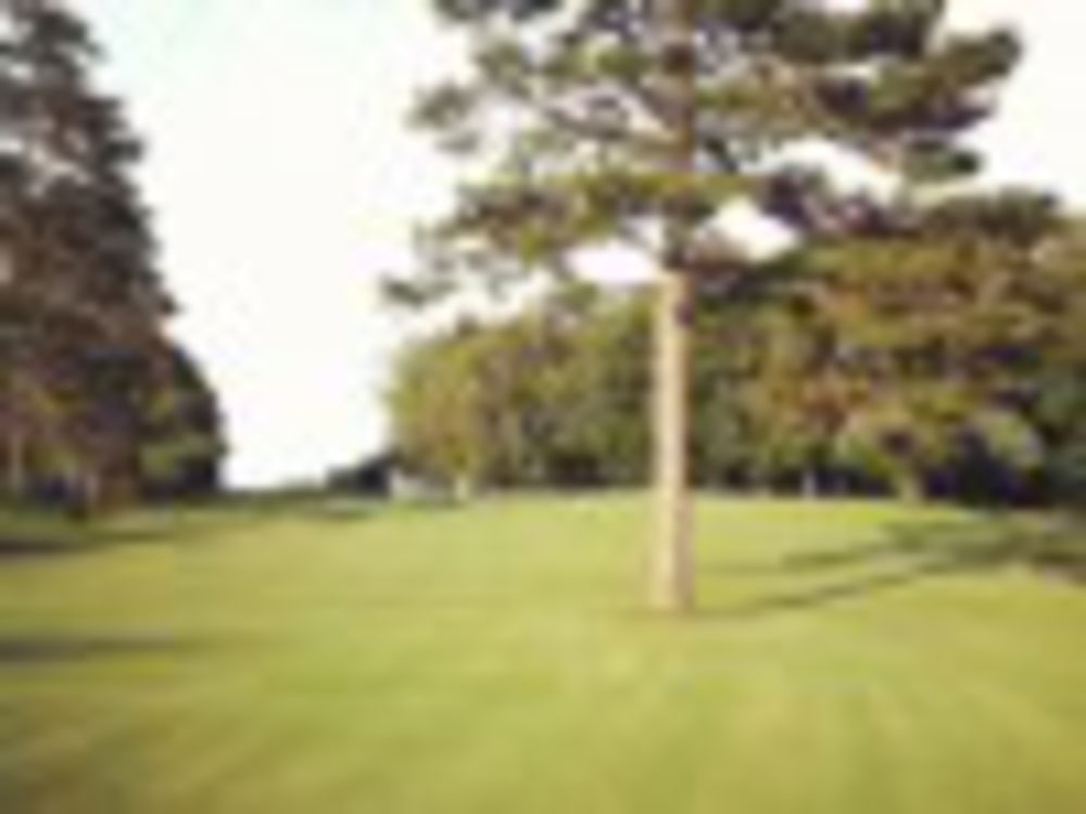Course photo for Rutherfordton Golf Club