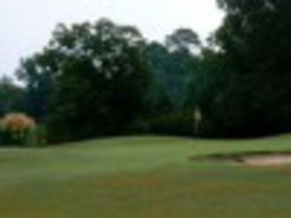 Course photo for Scothurst Golf Course