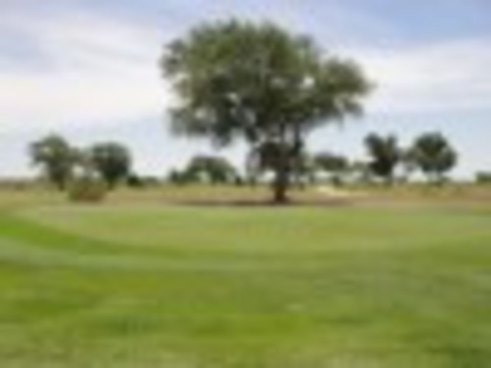 Course photo for Eunice Municipal Golf Course