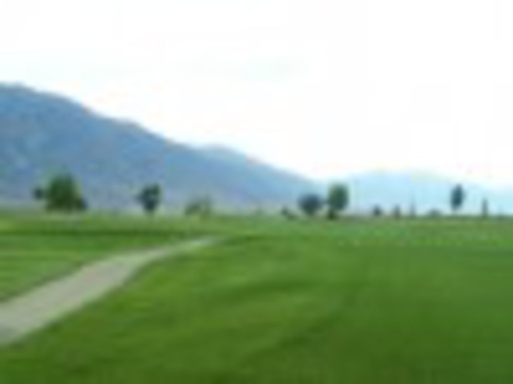 Course photo for Round Mountain Golf Club