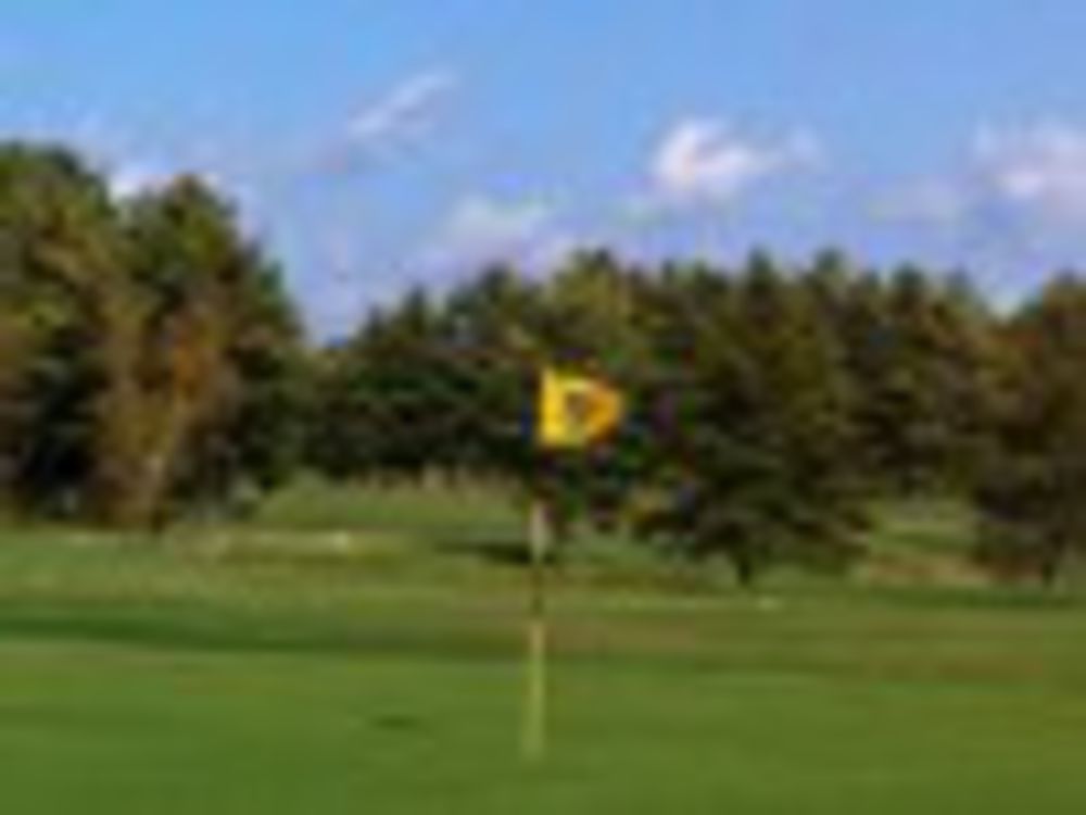 Course photo for Emerald Greens