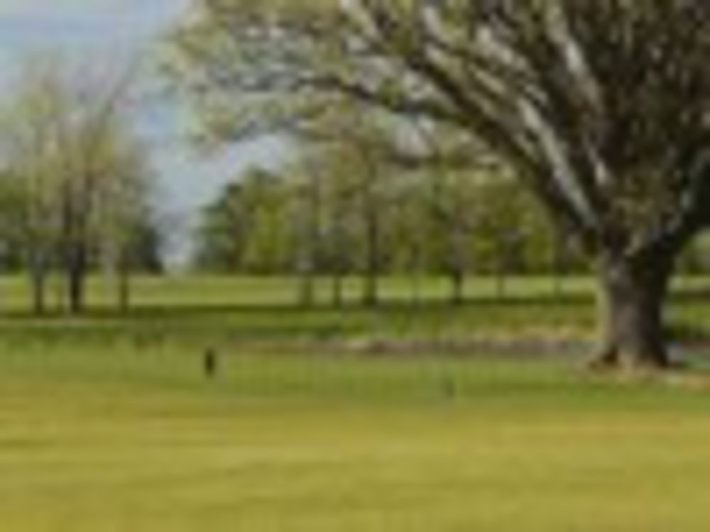 Course photo for Lima Golf & Country Club