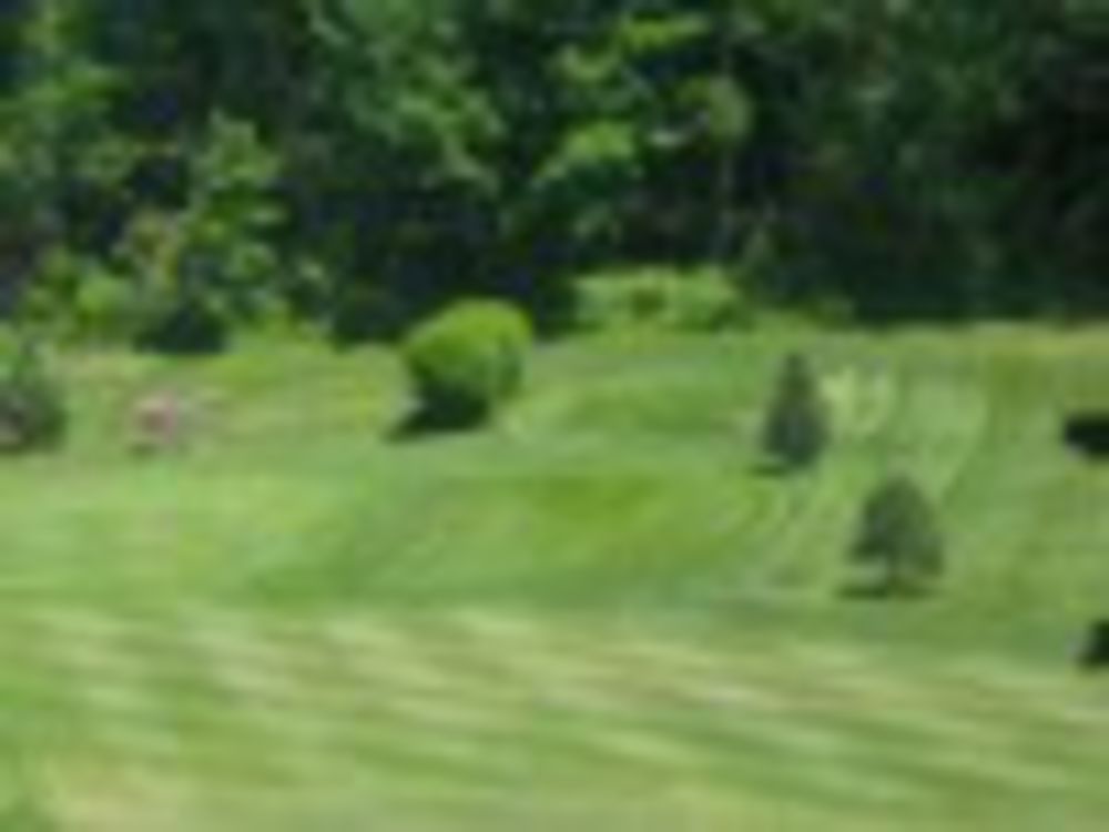 Course photo for Turtle Creek Golf Course at Garden Cathay