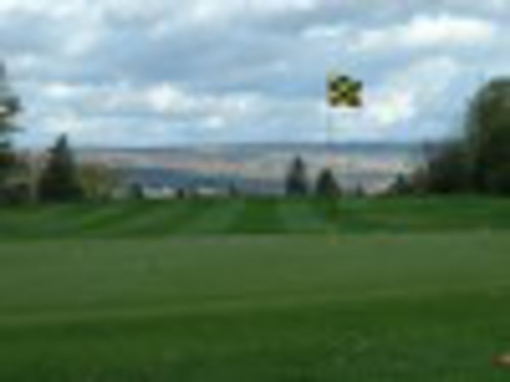 Course photo for Twin Ponds Golf & Country Club
