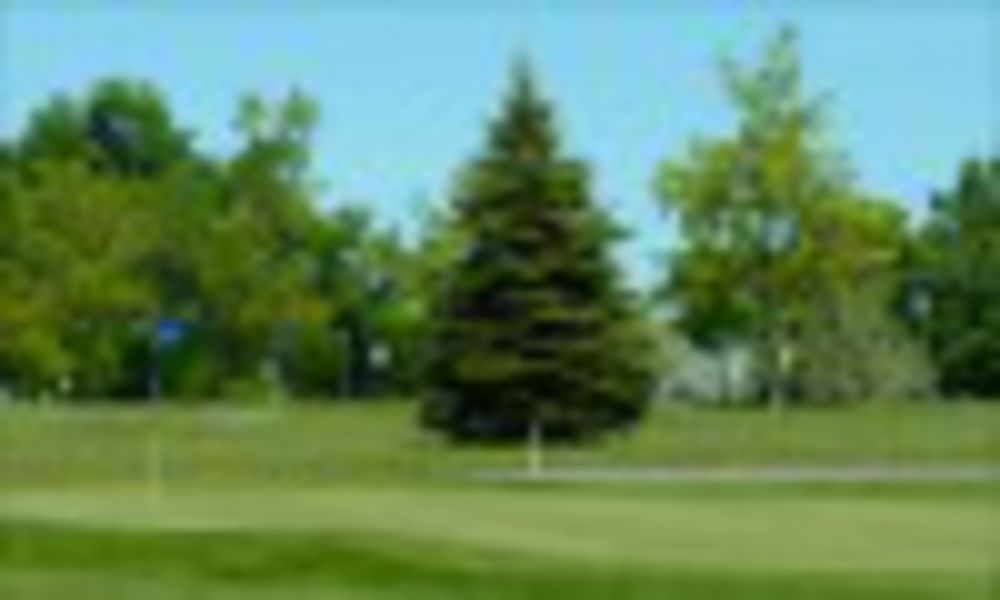 Course photo for Thompson Park Golf Course