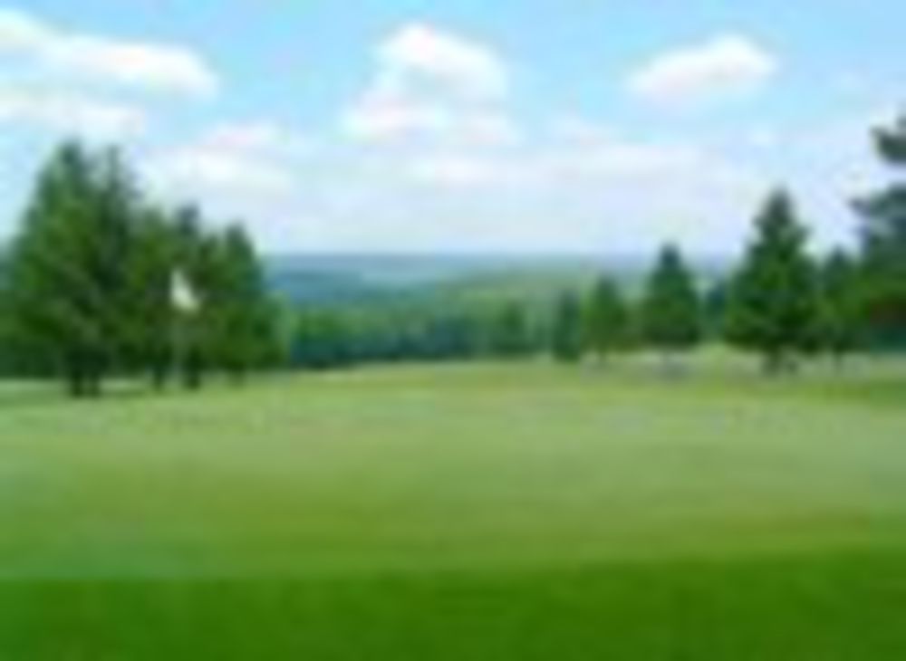 Course photo for White Birch Golf Course