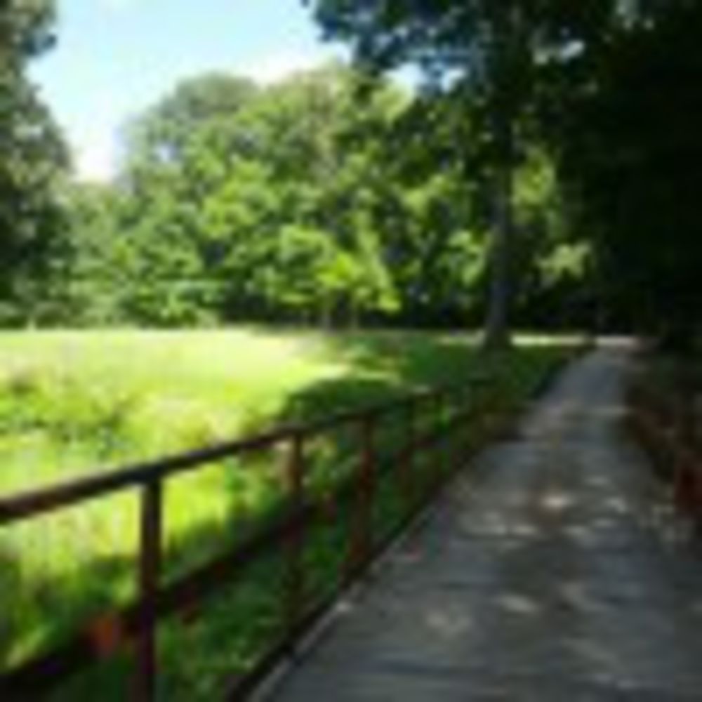 Course photo for Skyland Golf Course
