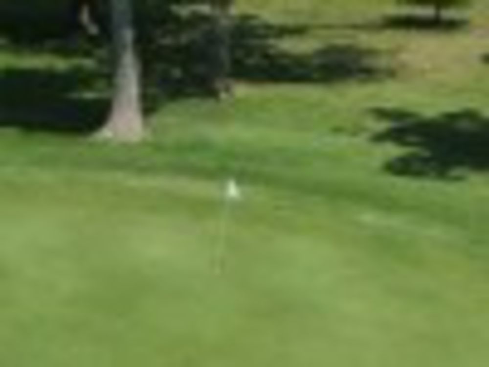 Course photo for Sycamore Springs Golf Course