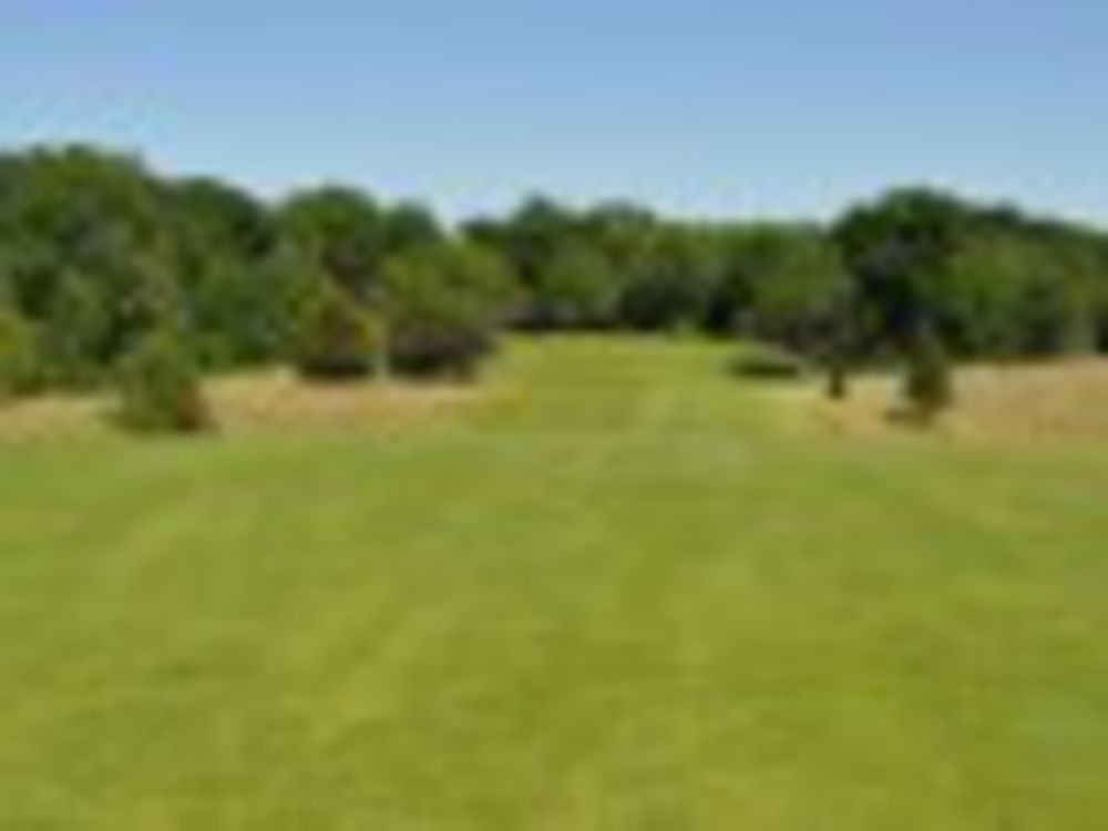 Course photo for Willard Golf Club