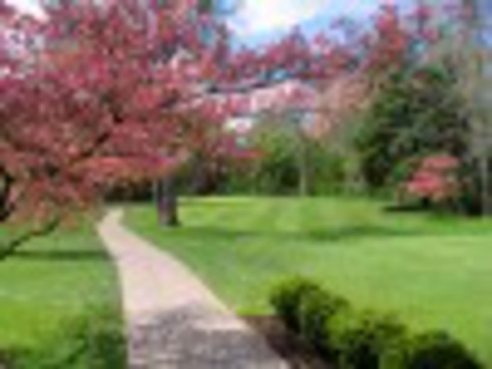 Course photo for Salem Golf Club