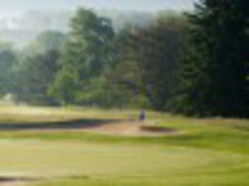 Course photo for Sinking Valley Country Club