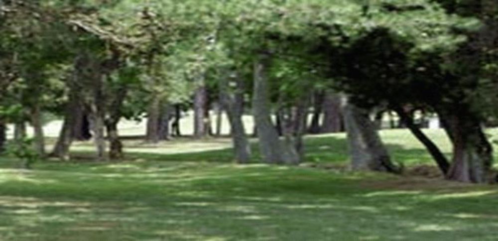 Course photo for Knoxville Municipal Golf Course