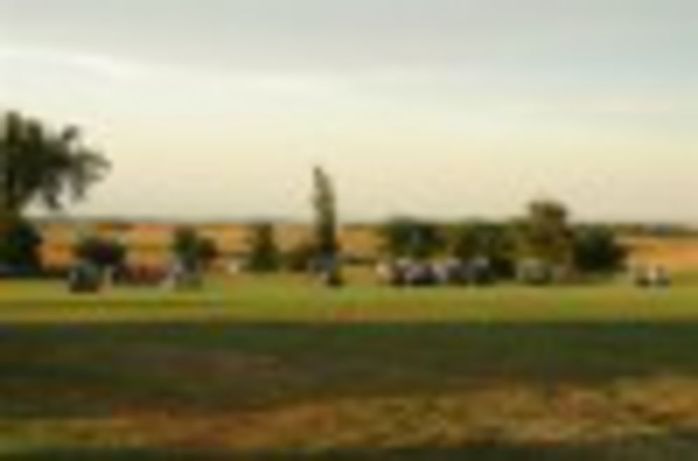 Course photo for Springs Country Club & Golf Course