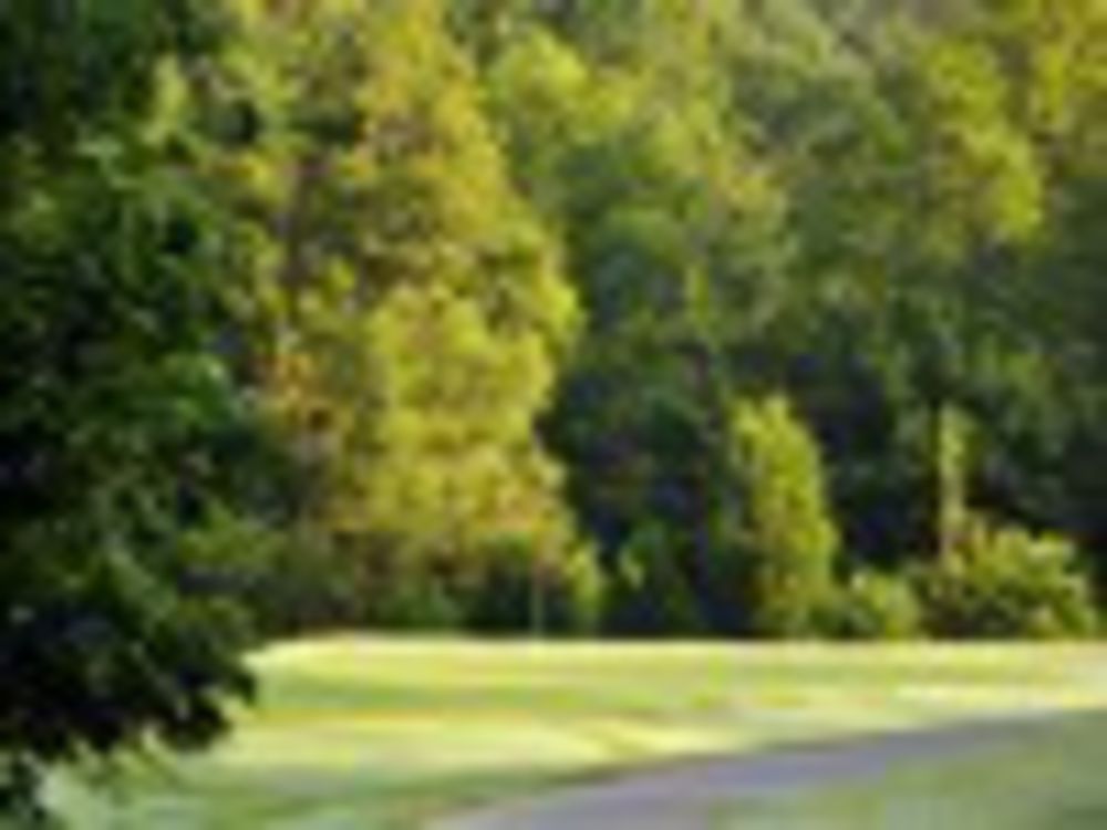 Course photo for Sevierville/River Course