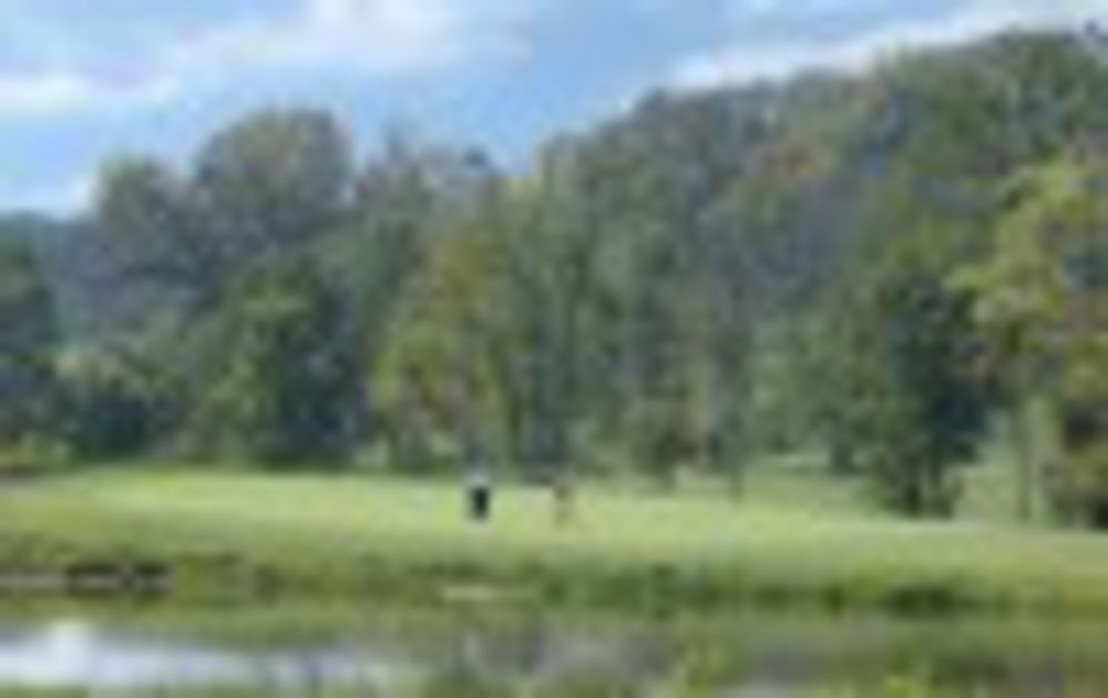 Course photo for Williams Creek Golf Course