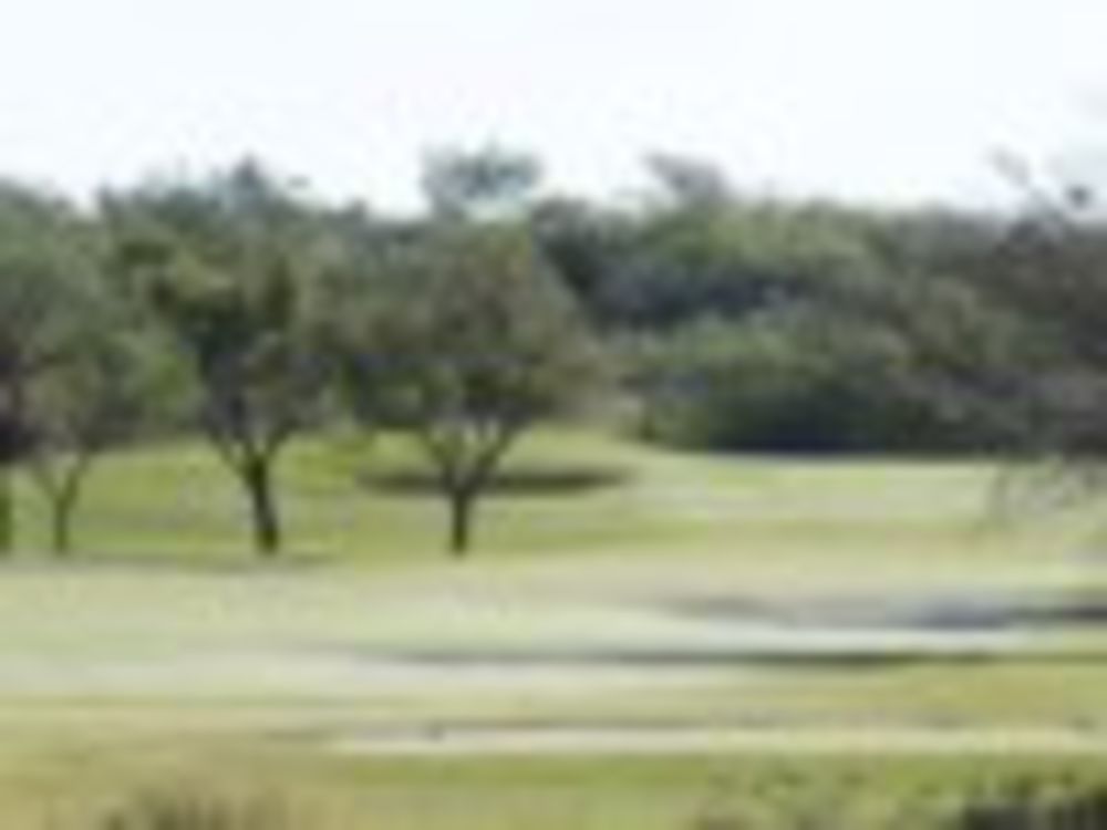 Course photo for Live Oak Golf Club