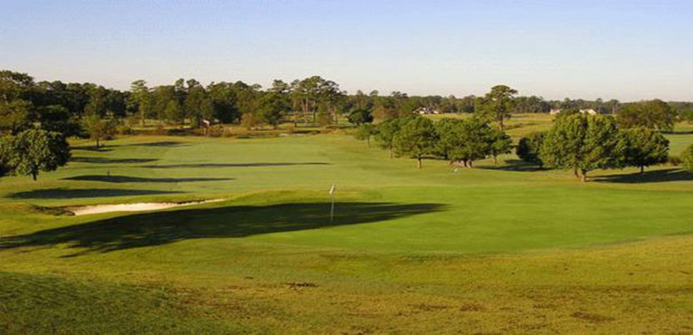 Course photo for Lane Tree Golf Club