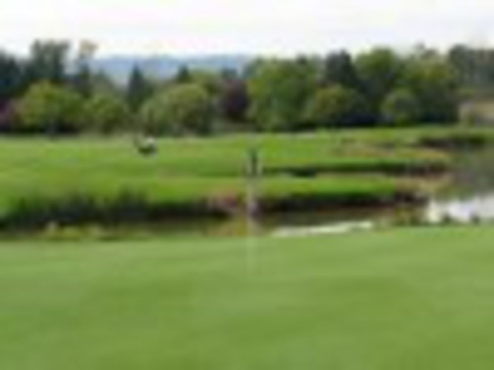 Course photo for Heron Lakes Golf Club
