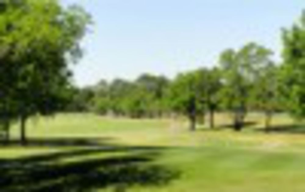 Course photo for Pine Forest Golf Club
