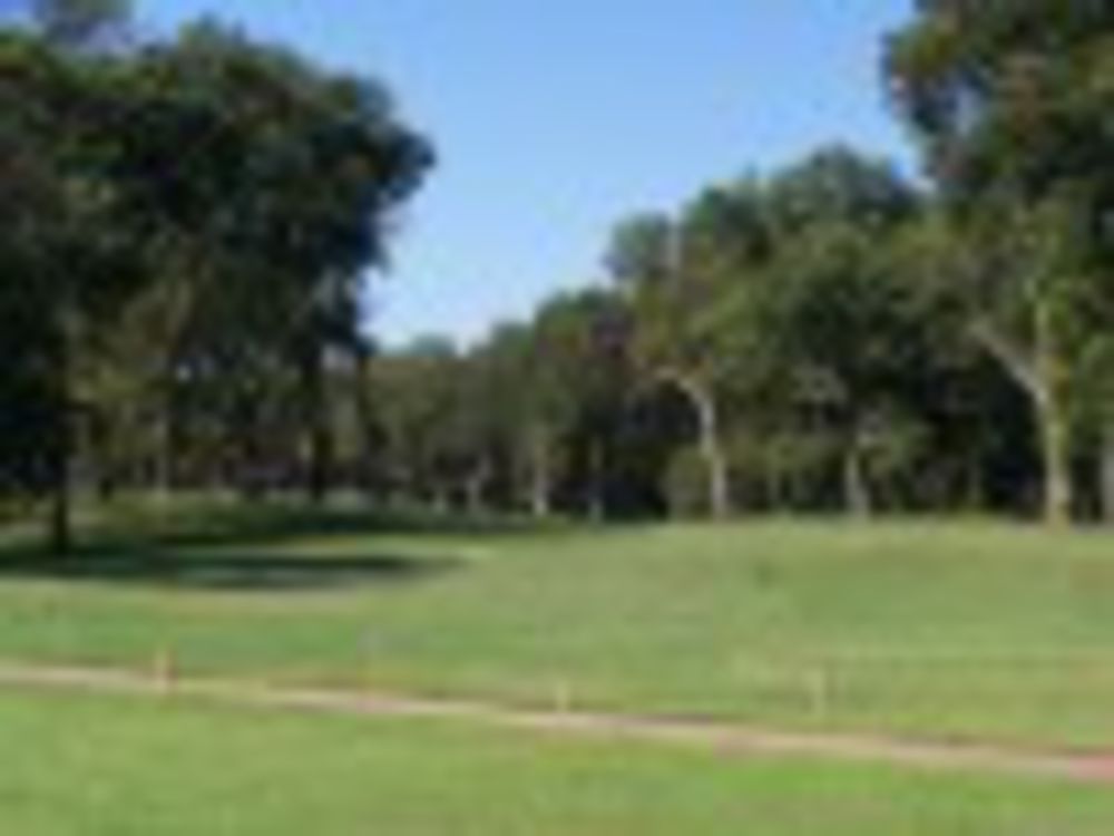 Course photo for Stephen F. Austin Golf Club
