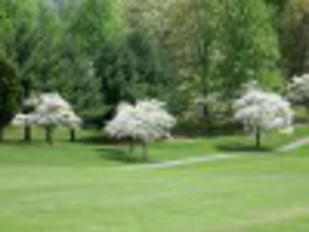 Course photo for Castle Rock Golf Club