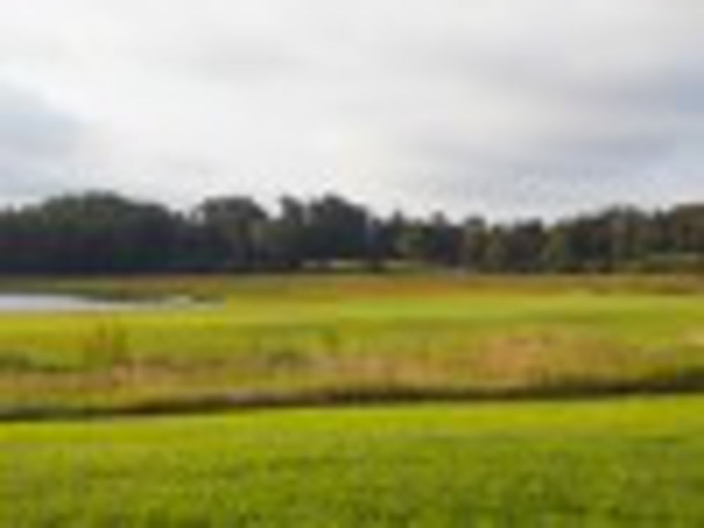 Course photo for Nansemond River Golf Club