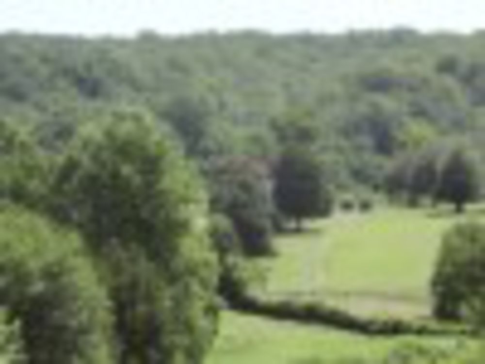 Course photo for Rapidan Golf Club