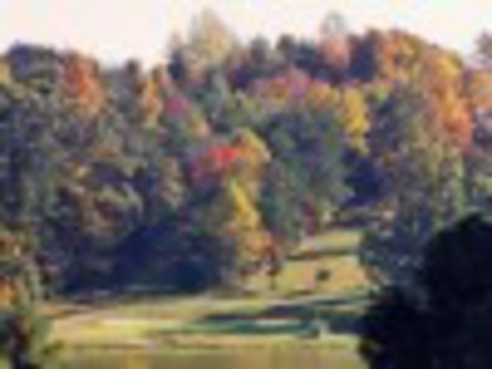Course photo for Ringgold Golf Club